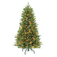 4.5 / Slim / Clear Incandescent