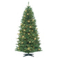 7 / Clear Incandescent