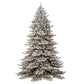 Royal Majestic Fraser Fir