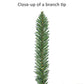 7 / Clear Incandescent