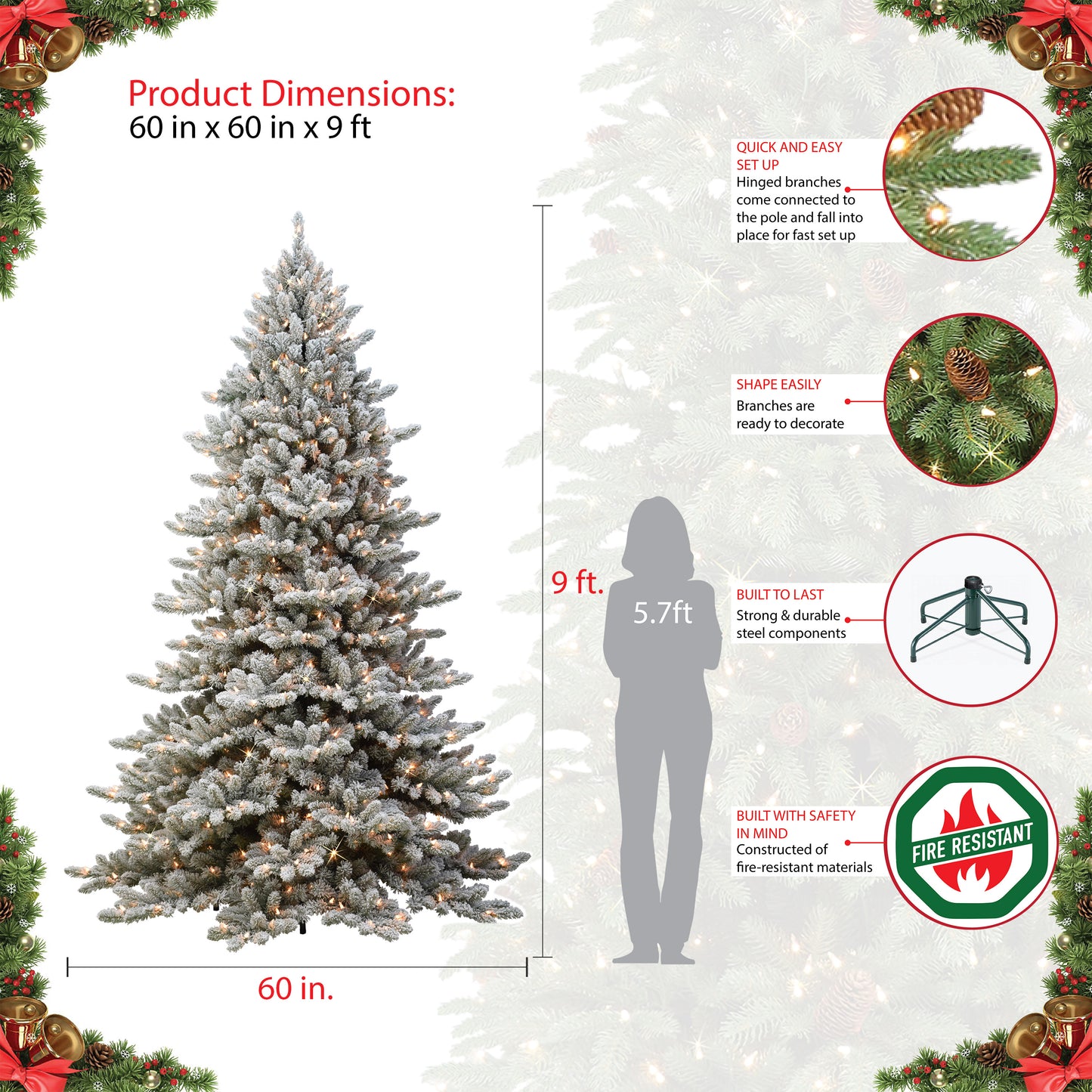 Royal Majestic Fraser Fir