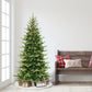 6.5 / Slim / Clear Incandescent