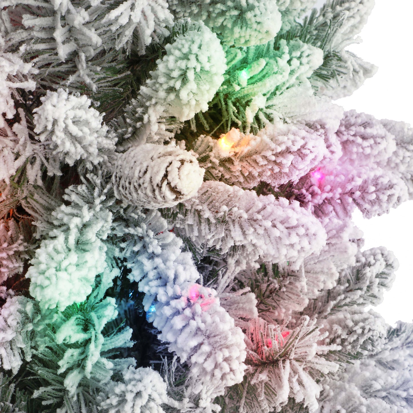 4.5 / Clear/Multi Incandescent