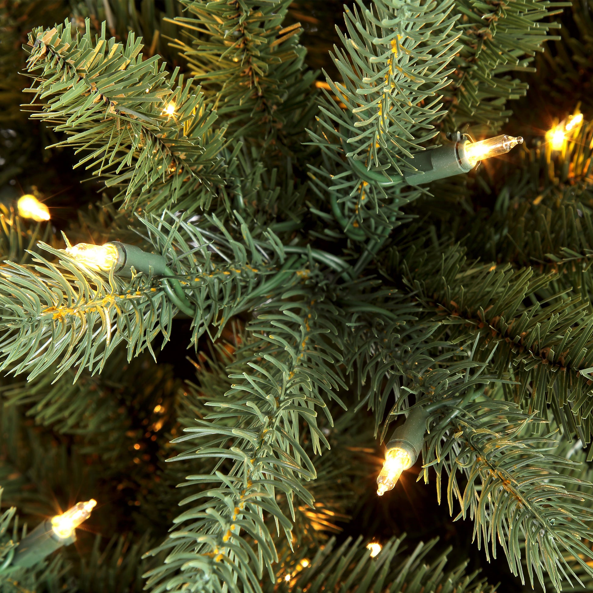 4.5 / Clear Incandescent