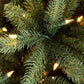 4.5 / Clear Incandescent