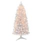 5 / Clear Incandescent