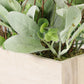 11" Lambs Ear Centerpiece with Twigs & Greenery Leaves in Wood Planter