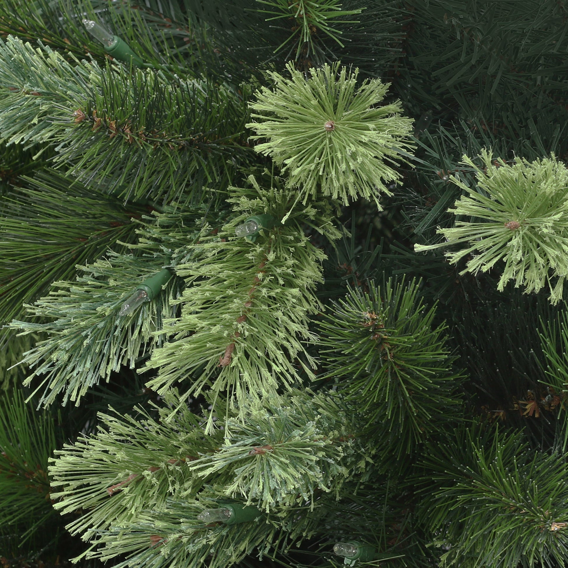 6.5 / Clear Incandescent / Green