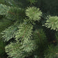 6.5 / Clear Incandescent / Green