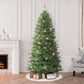7 / Clear Incandescent
