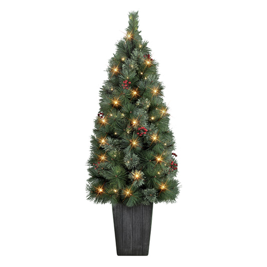 4 / Warm White LED / Green