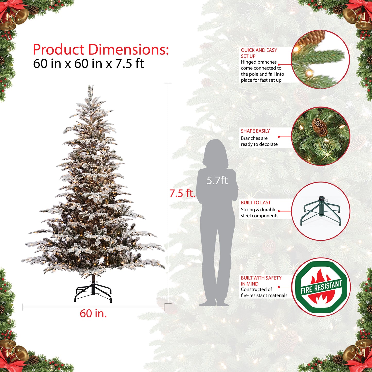 7.5 / Full / Clear Incandescent