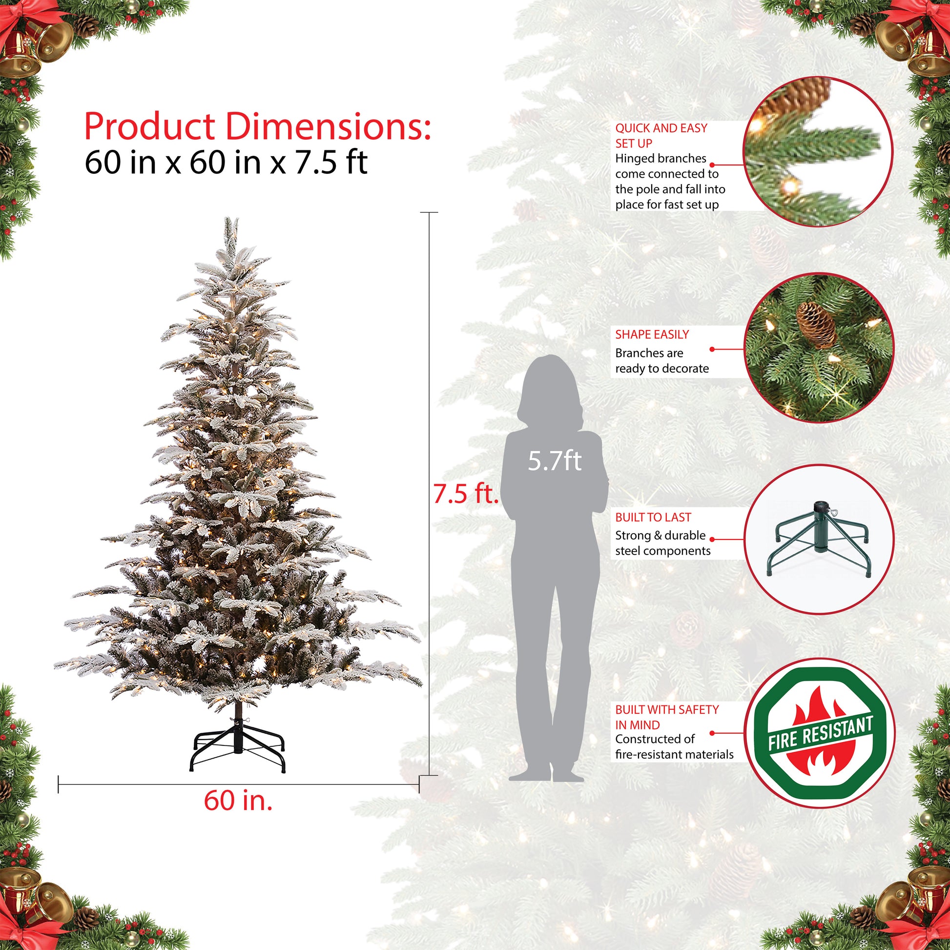 7.5 / Full / Clear Incandescent