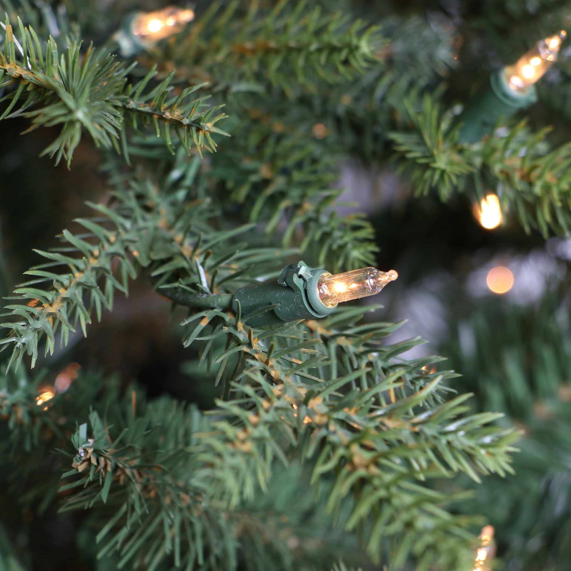 4.5 / Clear Incandescent