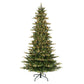 6.5 / Slim / Clear Incandescent
