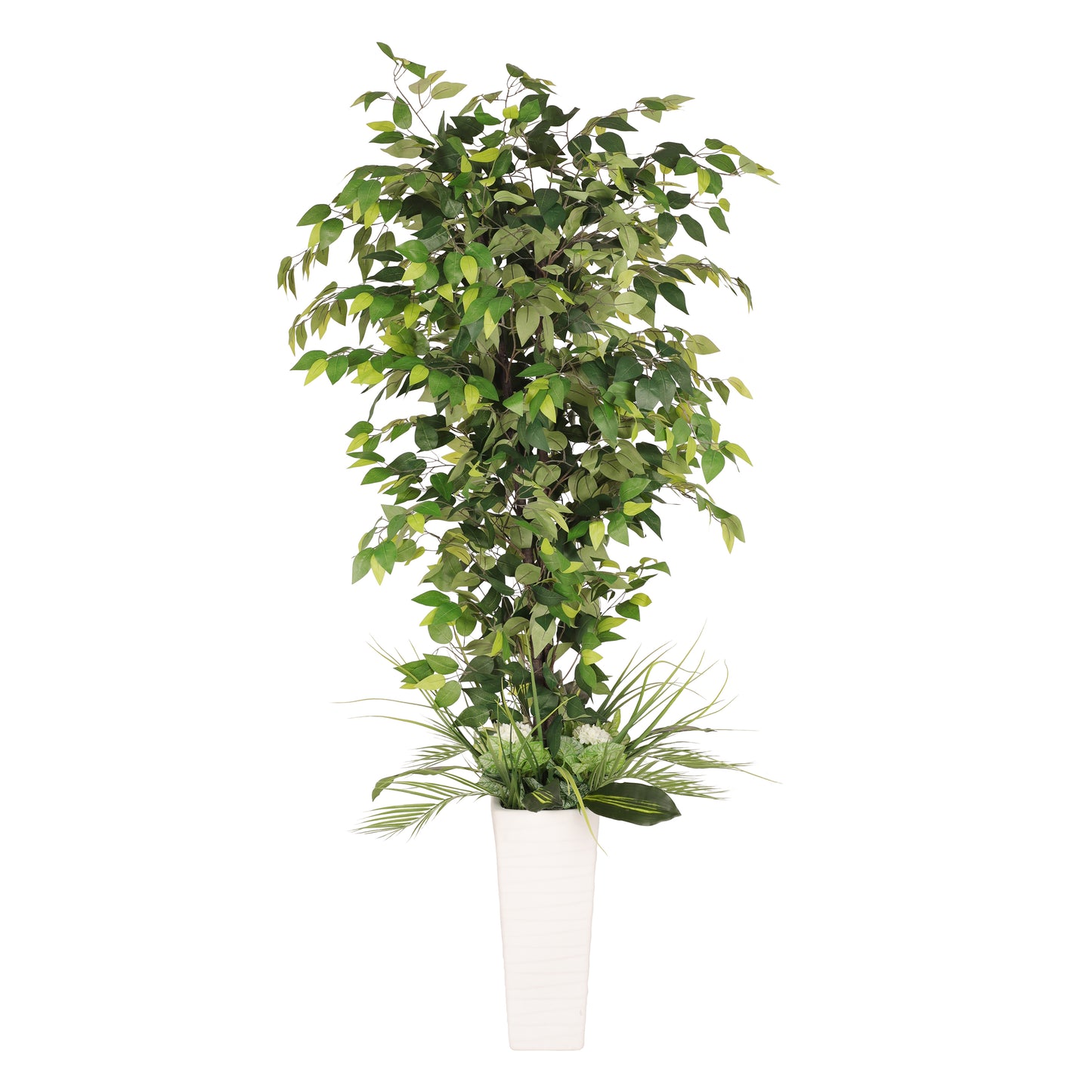 6 ft. Artificial Ficus Microcarpa Tree with White Decorative Pot