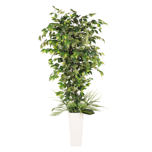 6 ft. Artificial Ficus Microcarpa Tree with White Decorative Pot