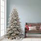 Royal Majestic Fraser Fir