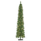 6 / Clear Incandescent