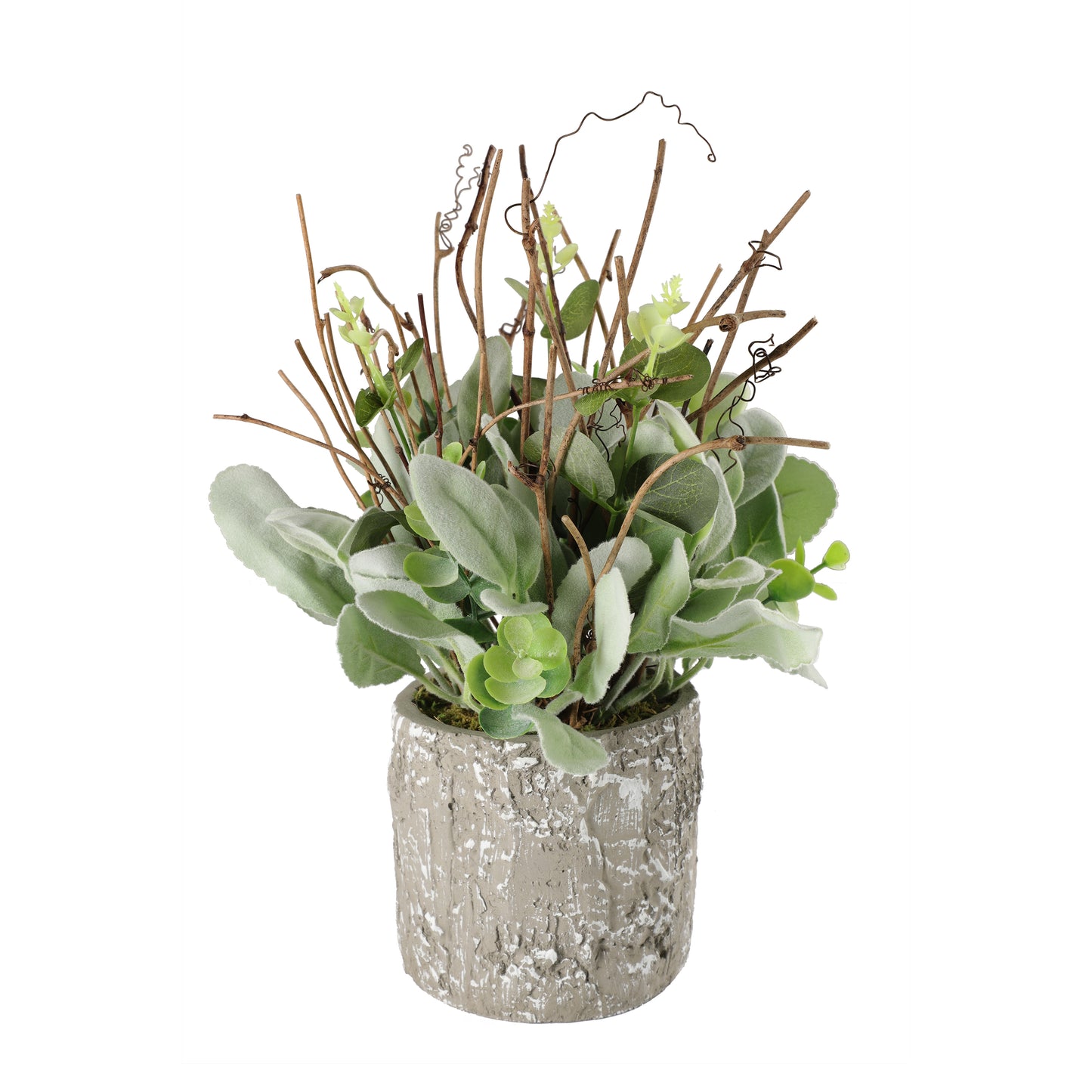 11" Lambs Ear Potted Plant With Twig & Greenery Leaves 