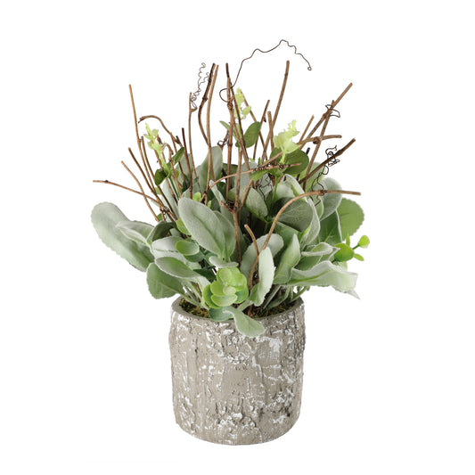 11" Lambs Ear Potted Plant With Twig & Greenery Leaves 