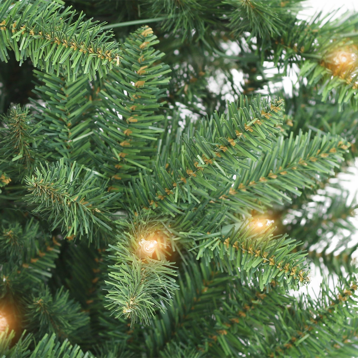 7 / Clear Incandescent