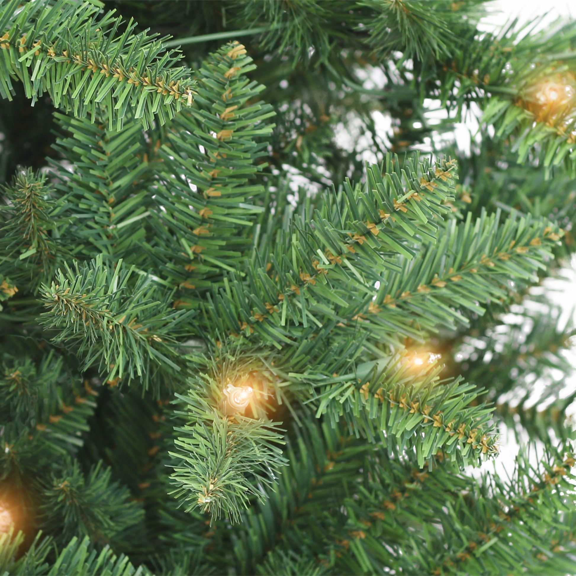 7 / Clear Incandescent