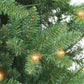 7 / Clear Incandescent