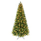 7.5 / Clear Incandescent