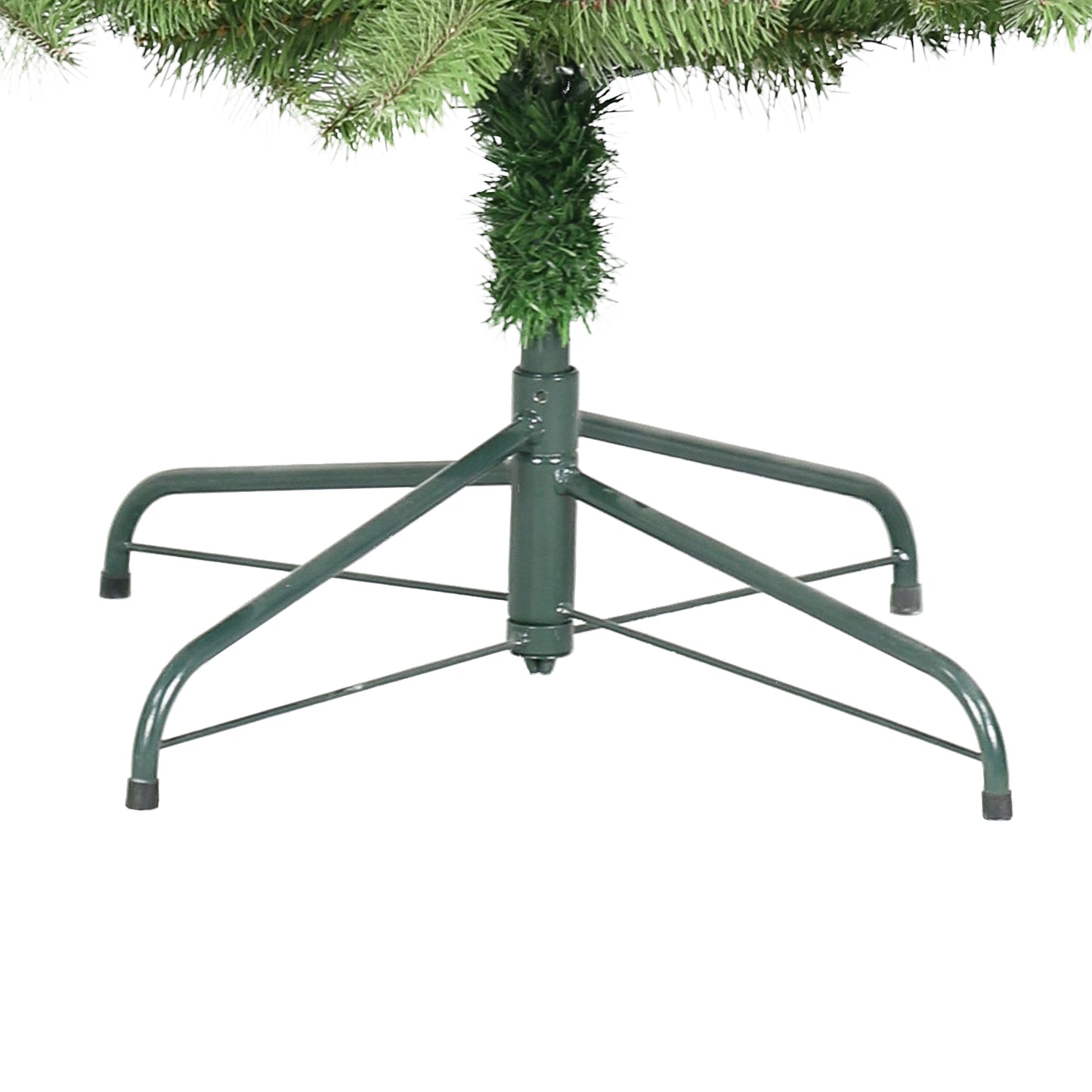 Royal Majestic Fraser Fir