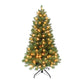 4.5 / Clear Incandescent