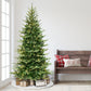 7.5 / Slim / Clear Incandescent
