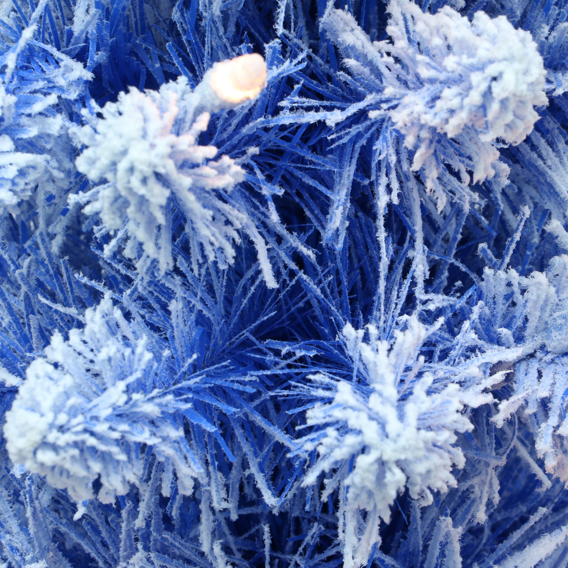 4.5 / Clear Incandescent / Flocked Blue