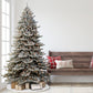 Royal Majestic Fraser Fir