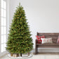 7.5 / Grand / Clear Incandescent