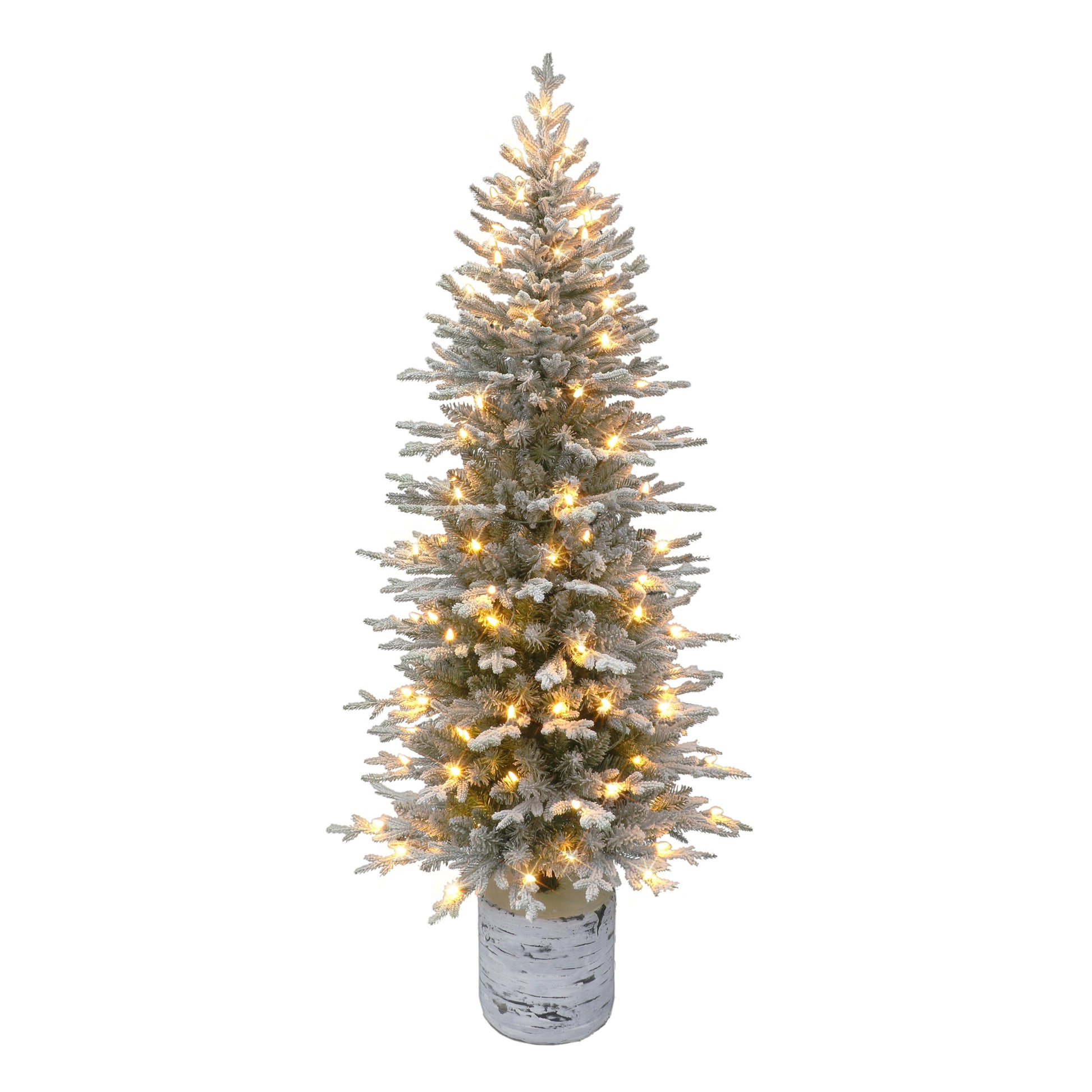 6 / Dual Function Clear/Multi LED / Flocked