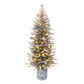 6 / Dual Function Clear/Multi LED / Flocked