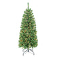 4.5 / Slim / Clear Incandescent