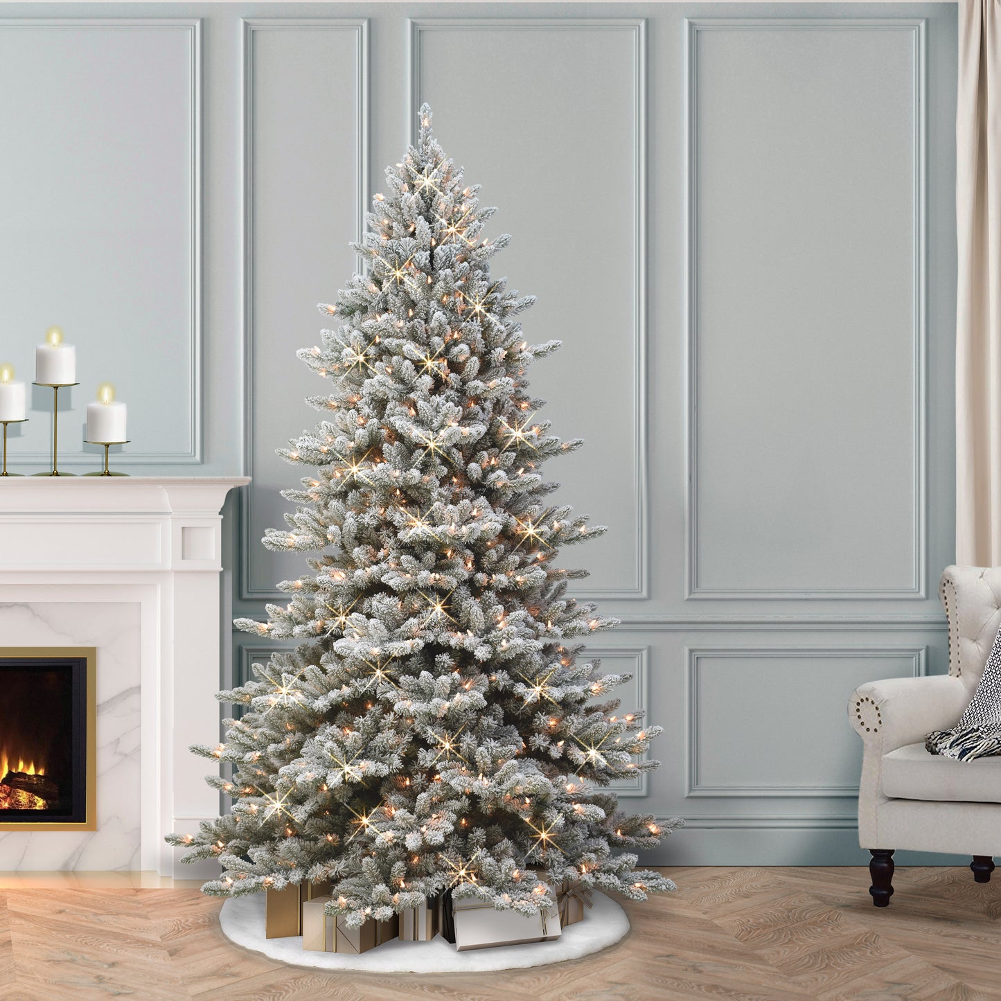 Royal Majestic Fraser Fir