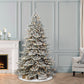Royal Majestic Fraser Fir