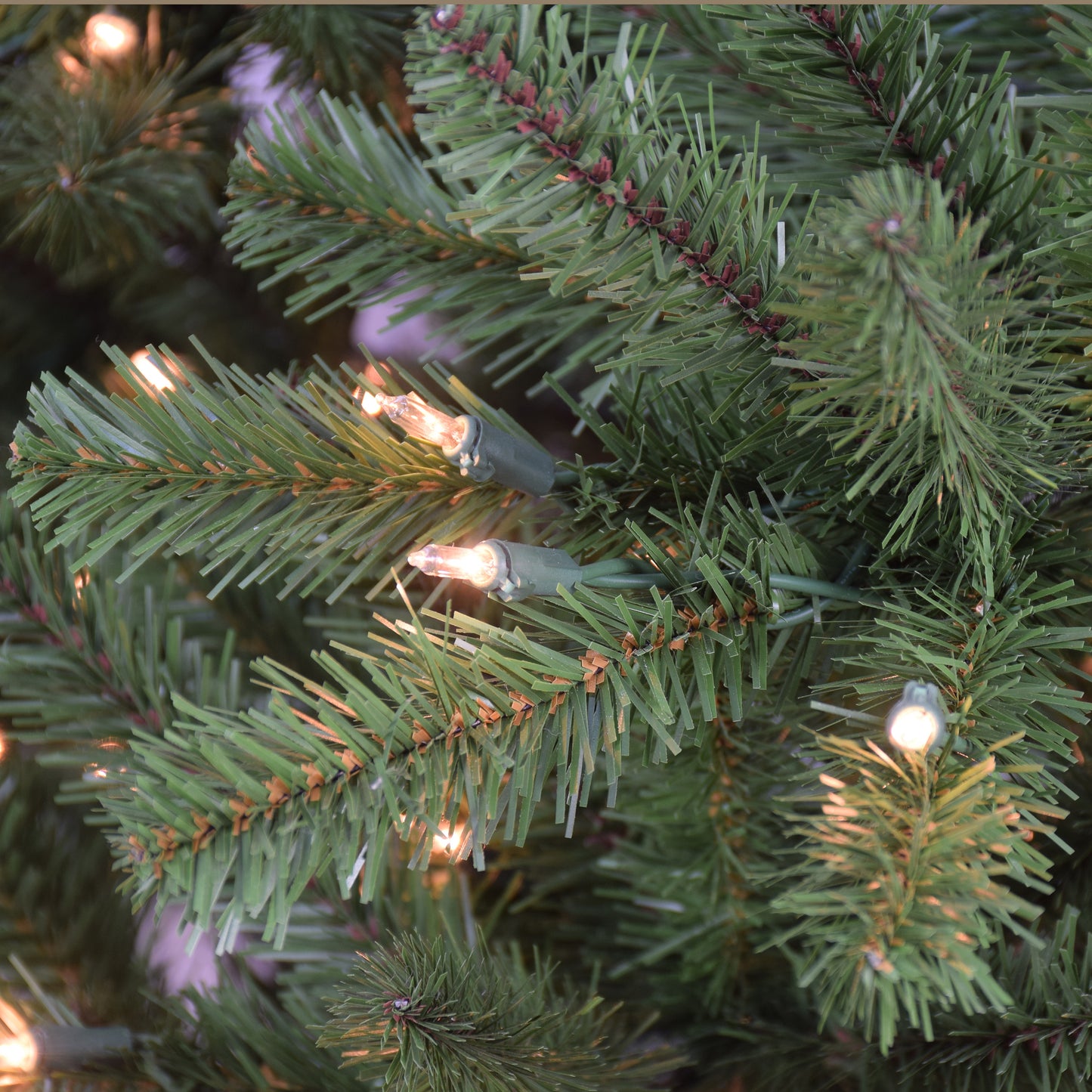12 / Clear Incandescent