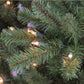 12 / Clear Incandescent
