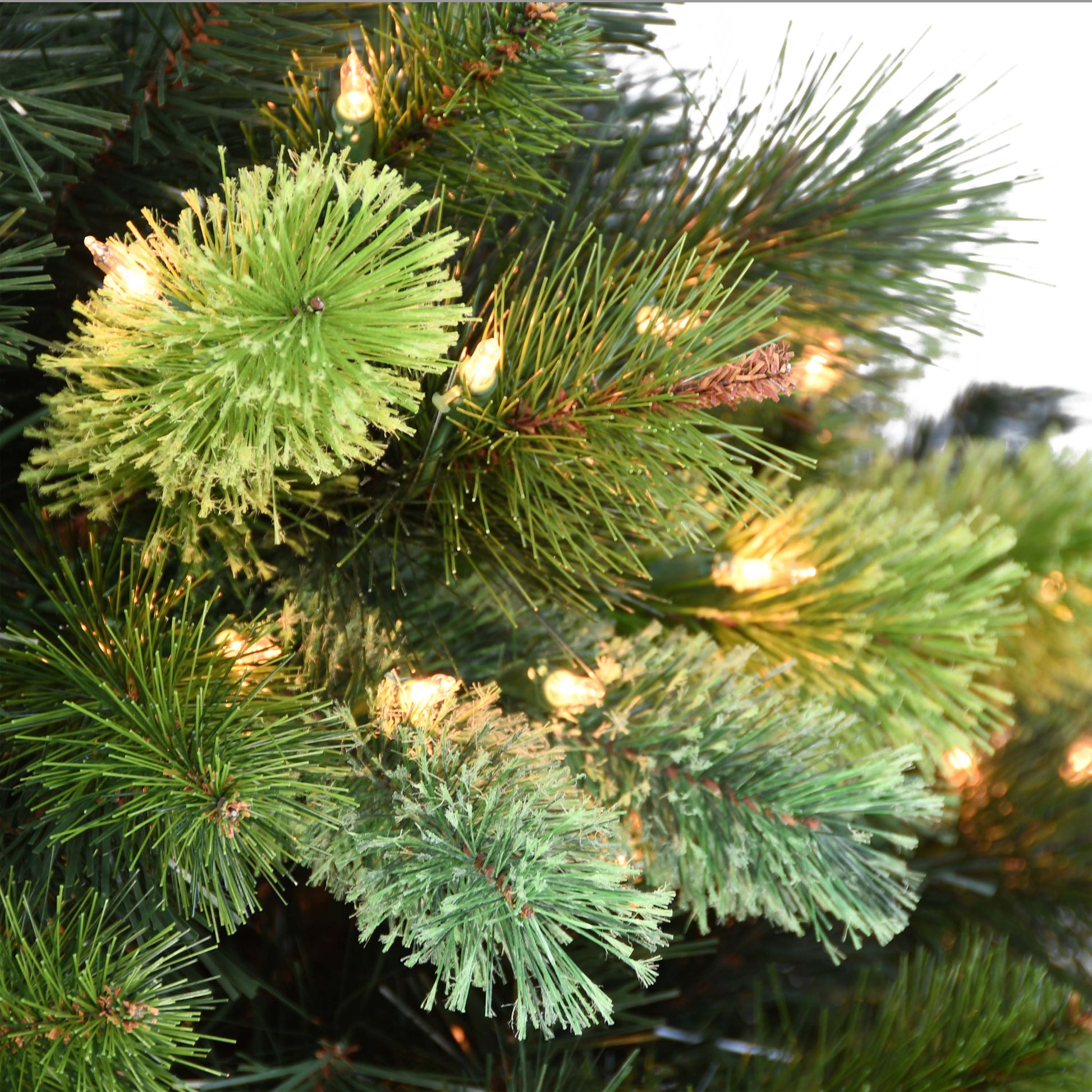 7.5 / Clear Incandescent / Green