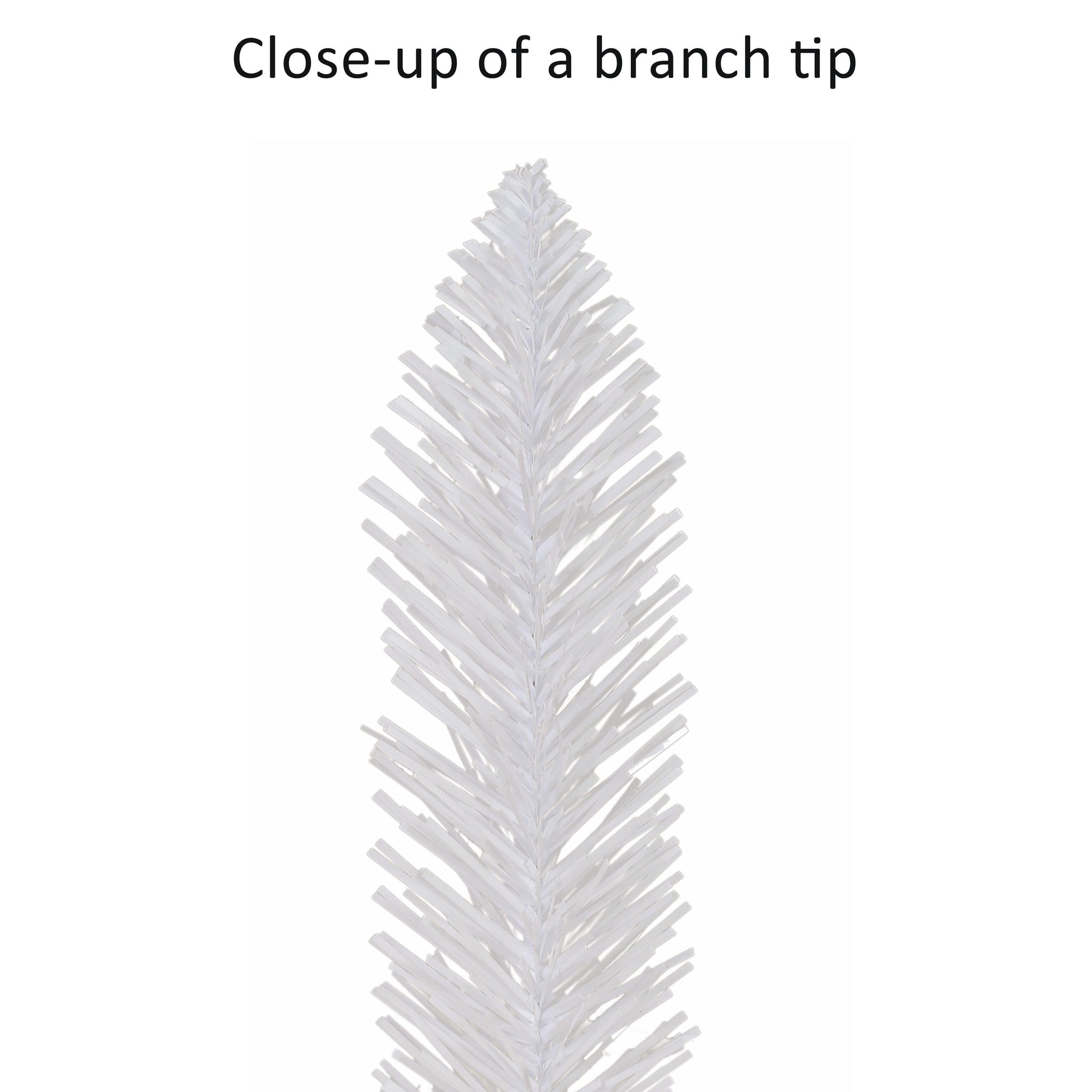 7 / Clear Incandescent