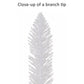 7 / Clear Incandescent
