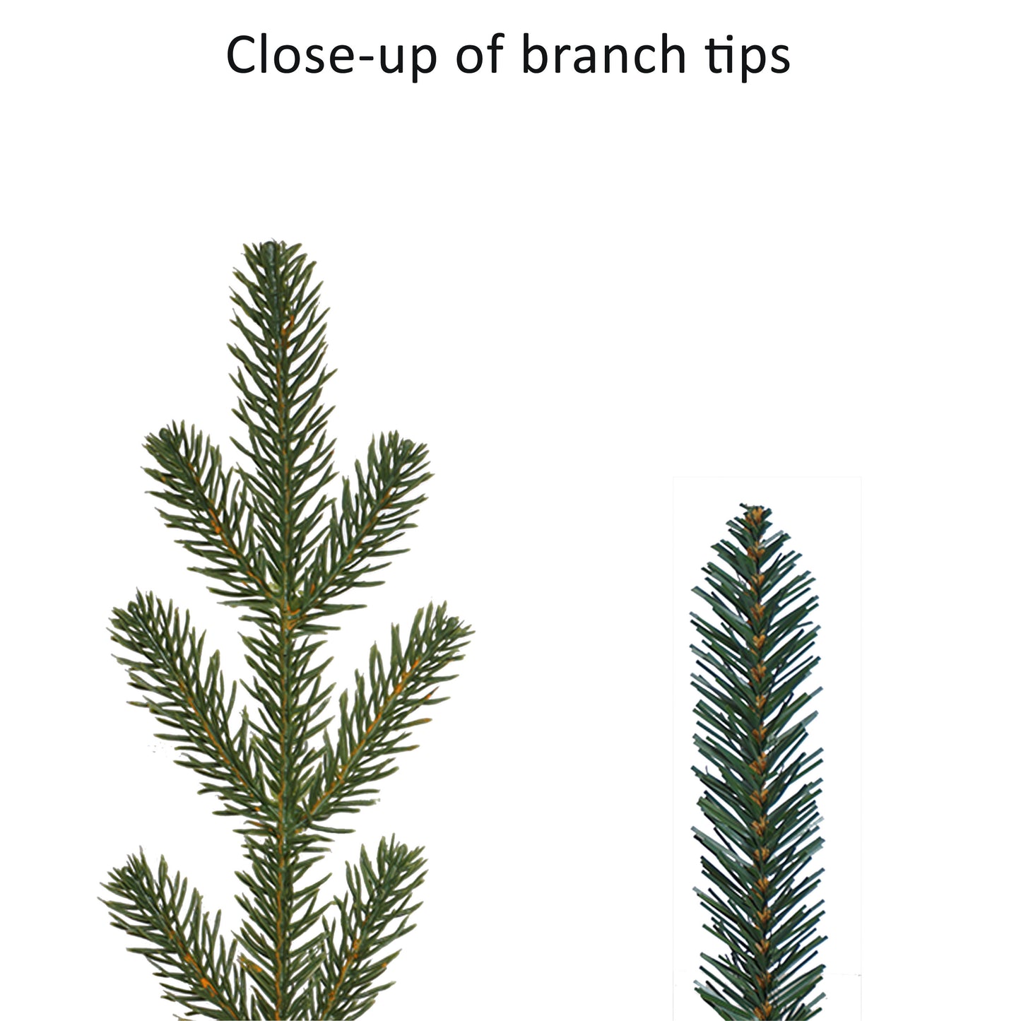 7.5