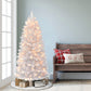 5 / Clear Incandescent