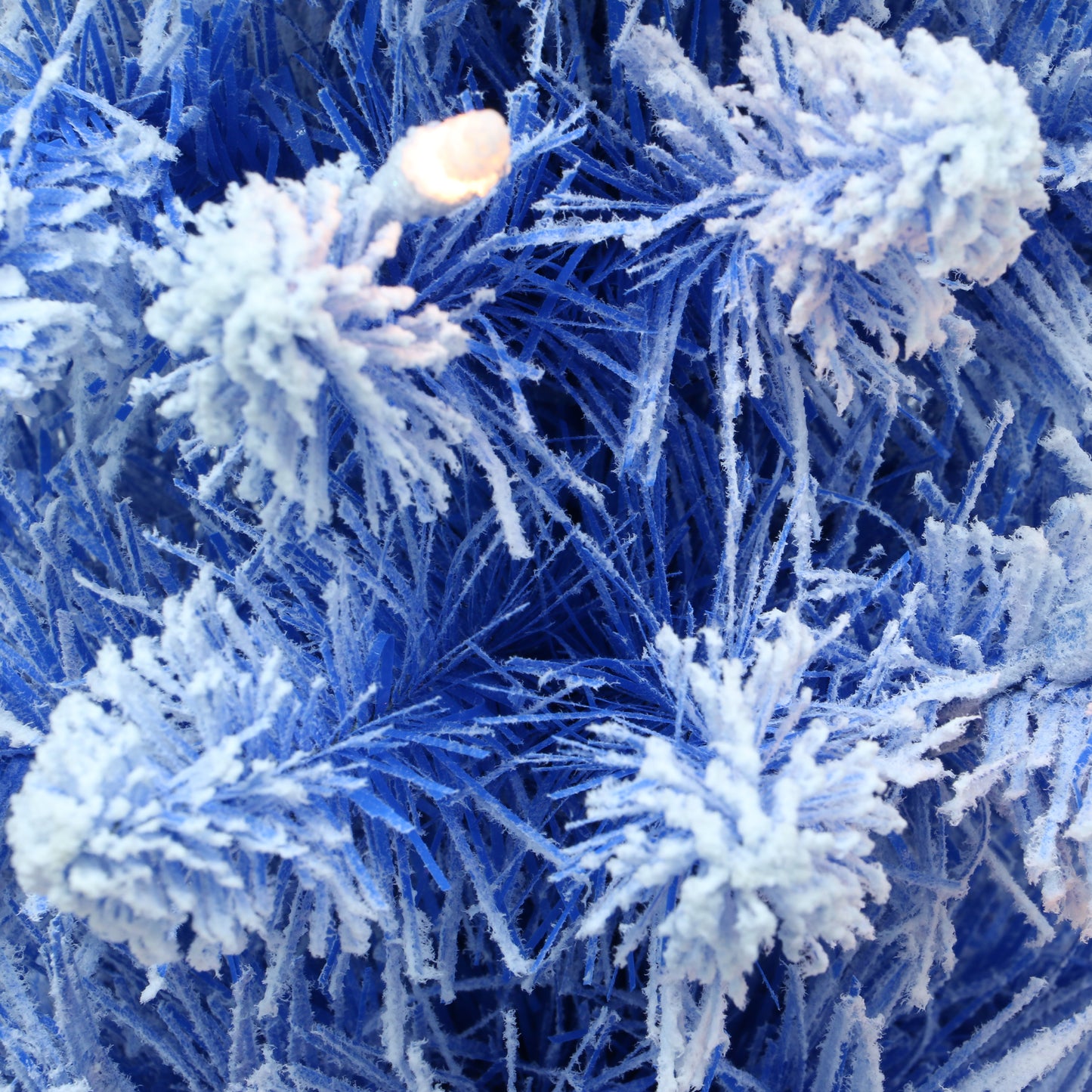 6.5 / Clear Incandescent / Flocked Blue