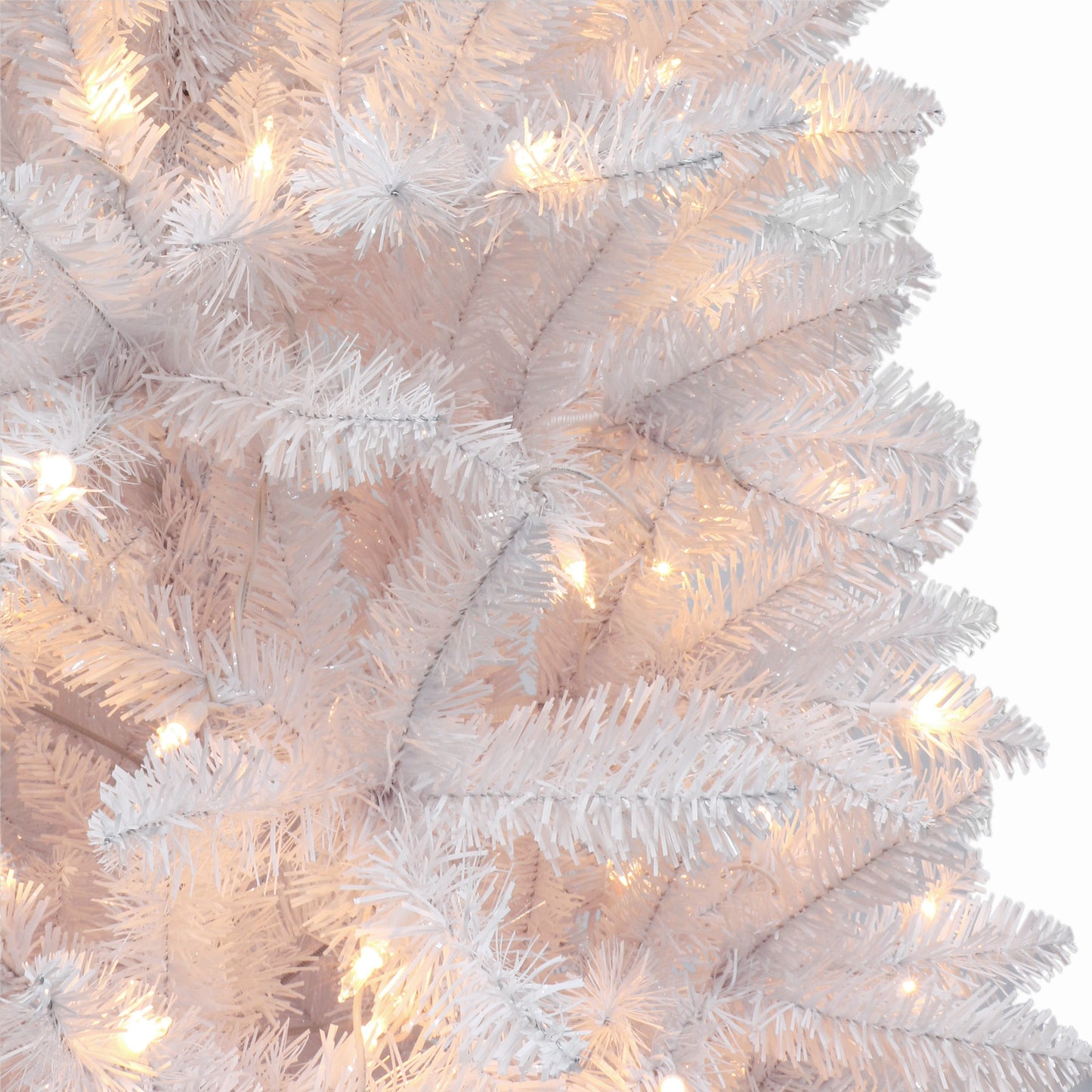 7 / Clear Incandescent