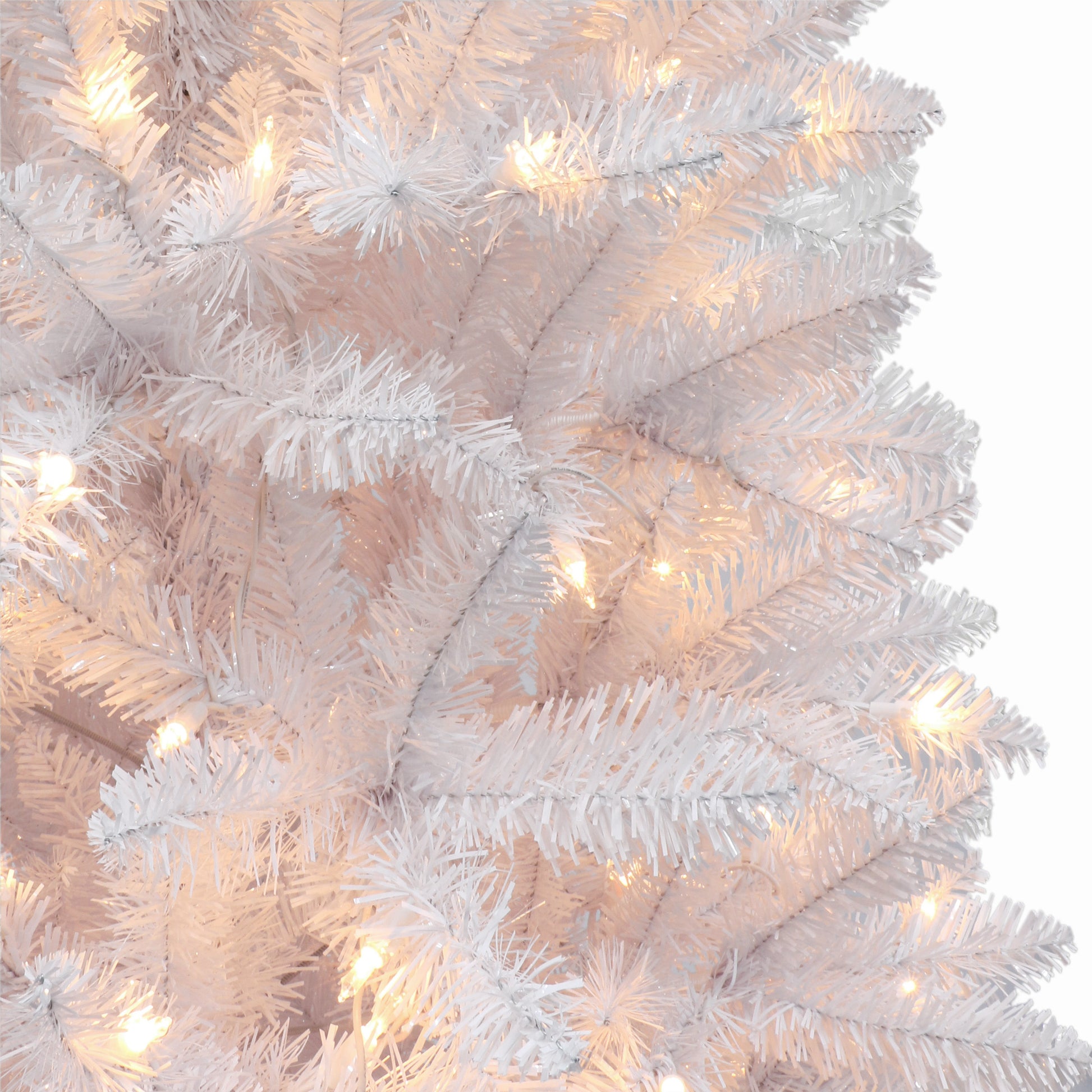 7 / Clear Incandescent